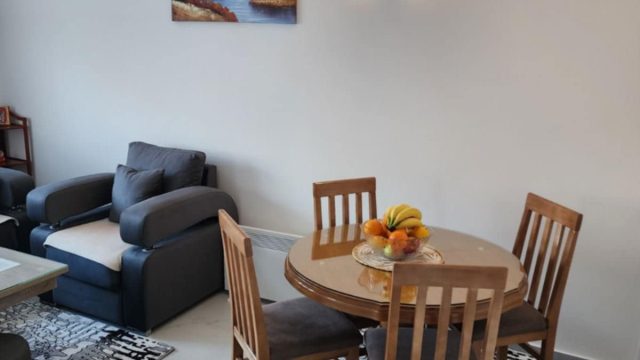 izdajem apartman u vrnjackoj banji-04